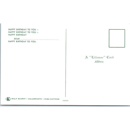 Happy Birthday to You - Dolls Singing - A Lilianne Card Original Postcard PB2