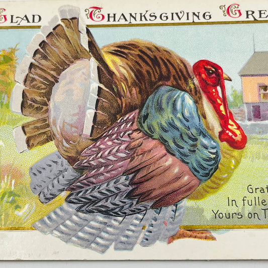 1916 Thanksgiving Post Card Colorful Turkey Poem Embossed PA3