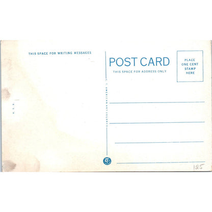 Wood Wagons of the Extreme Southwest Donkey Burro Mule Original Postcard TK1-28