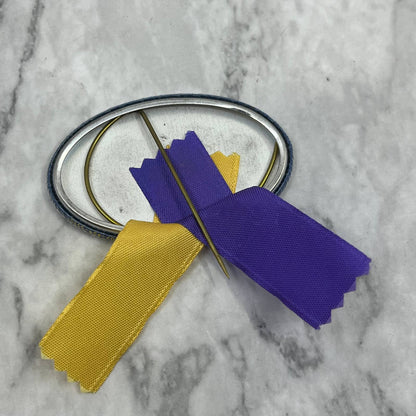 1978-79 Hermantown Hawks Homecoming Football Pinback Button Go Big Blue SF1