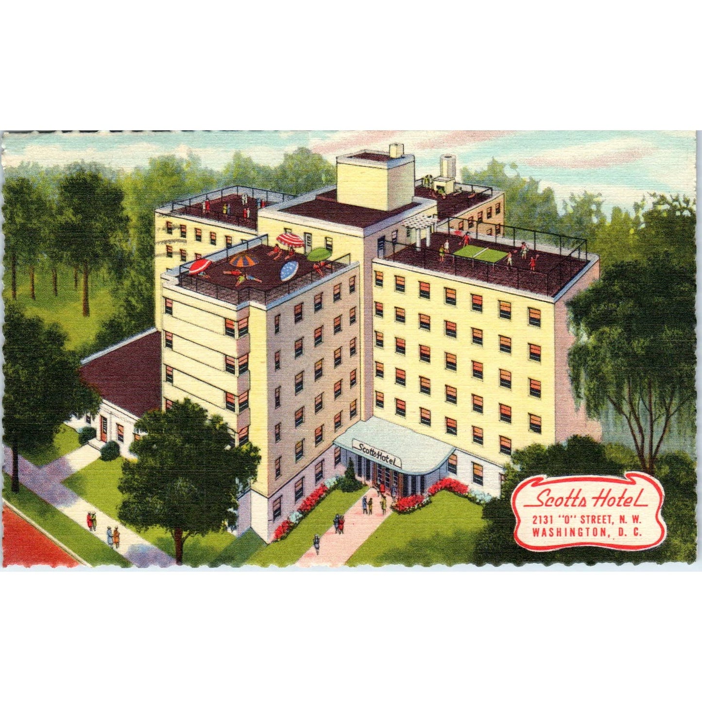 Scott's Hotel 1952 Washington D.C. Original Postcard TK1-P2
