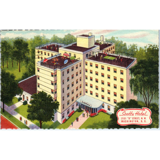 Scott's Hotel 1952 Washington D.C. Original Postcard TK1-P2