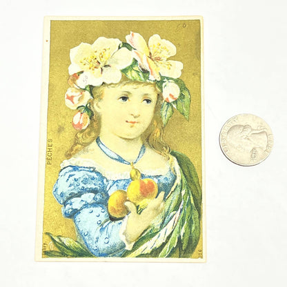 1883 Victorian Trade Card Adams Meldrum & Anderson Dry Goods Girl w/ Peaches AB6