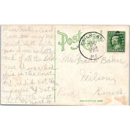 Vintage Dog Smooth Haired Fox Terrier Puppies c1910 Original Postcard TK1-27