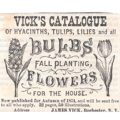 Vick's Catalogue of Flowers James Vick Rochester NY - Ad 1878 Original TJ7-L2-1