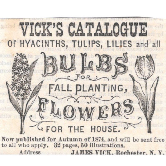 Vick's Catalogue of Flowers James Vick Rochester NY - Ad 1878 Original TJ7-L2-1