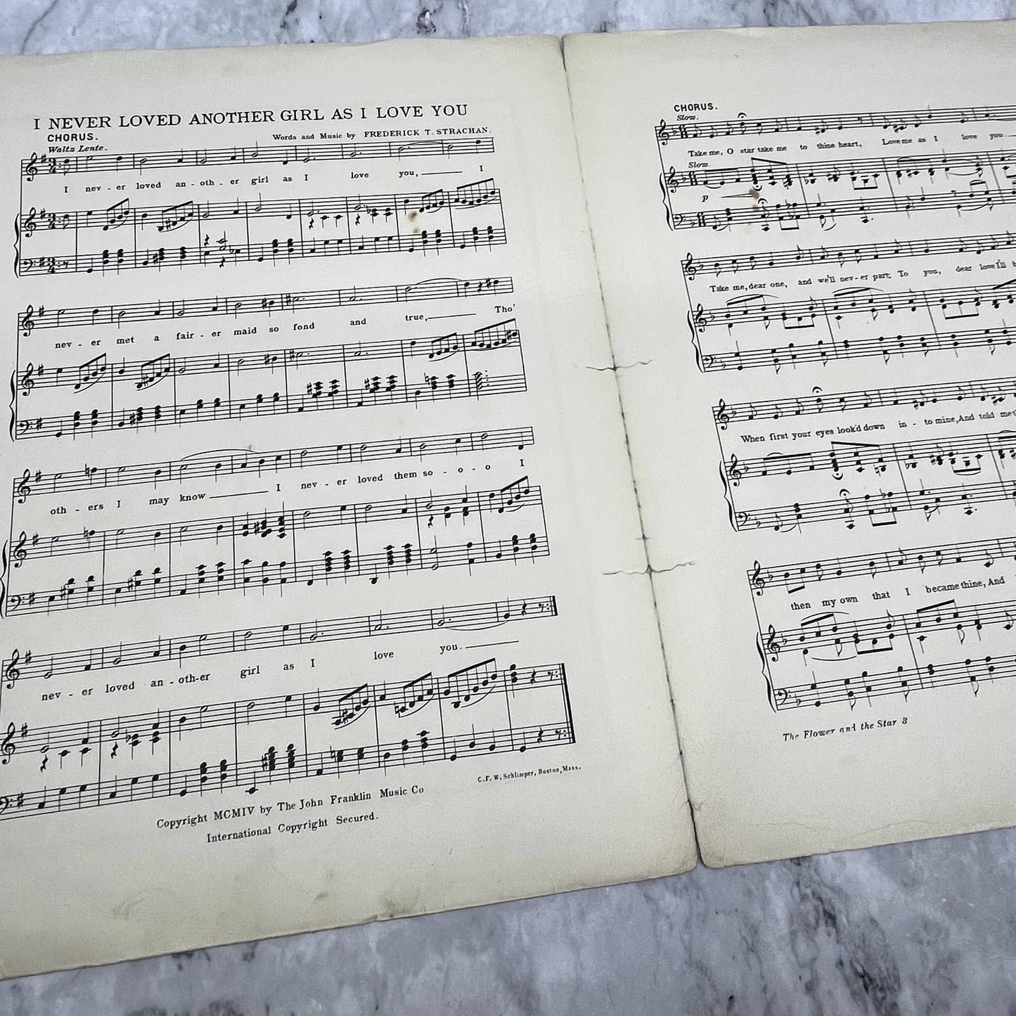 The Flower and the Star Frank Sheridan 1904 Sheet Music TK2-SM2