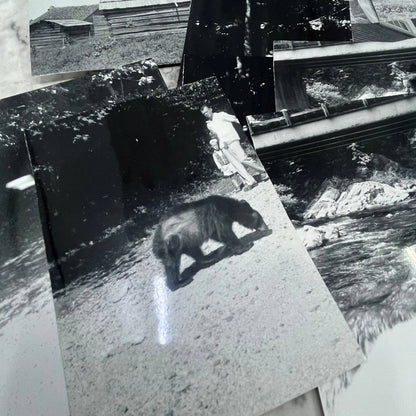 1954 Collection of Photos & Negatives NC Vacation Cades Cove Biltmore TJ9-PG3