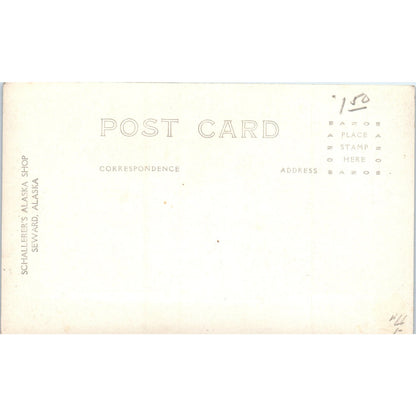 Harding Gateway Resurrection Bay Alaska RPPC Original Postcard P2-7
