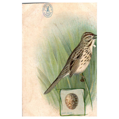 Song Sparrow Singer Sewing Machines Trimmed - 1880s Victorian Trade Card TJ8-3