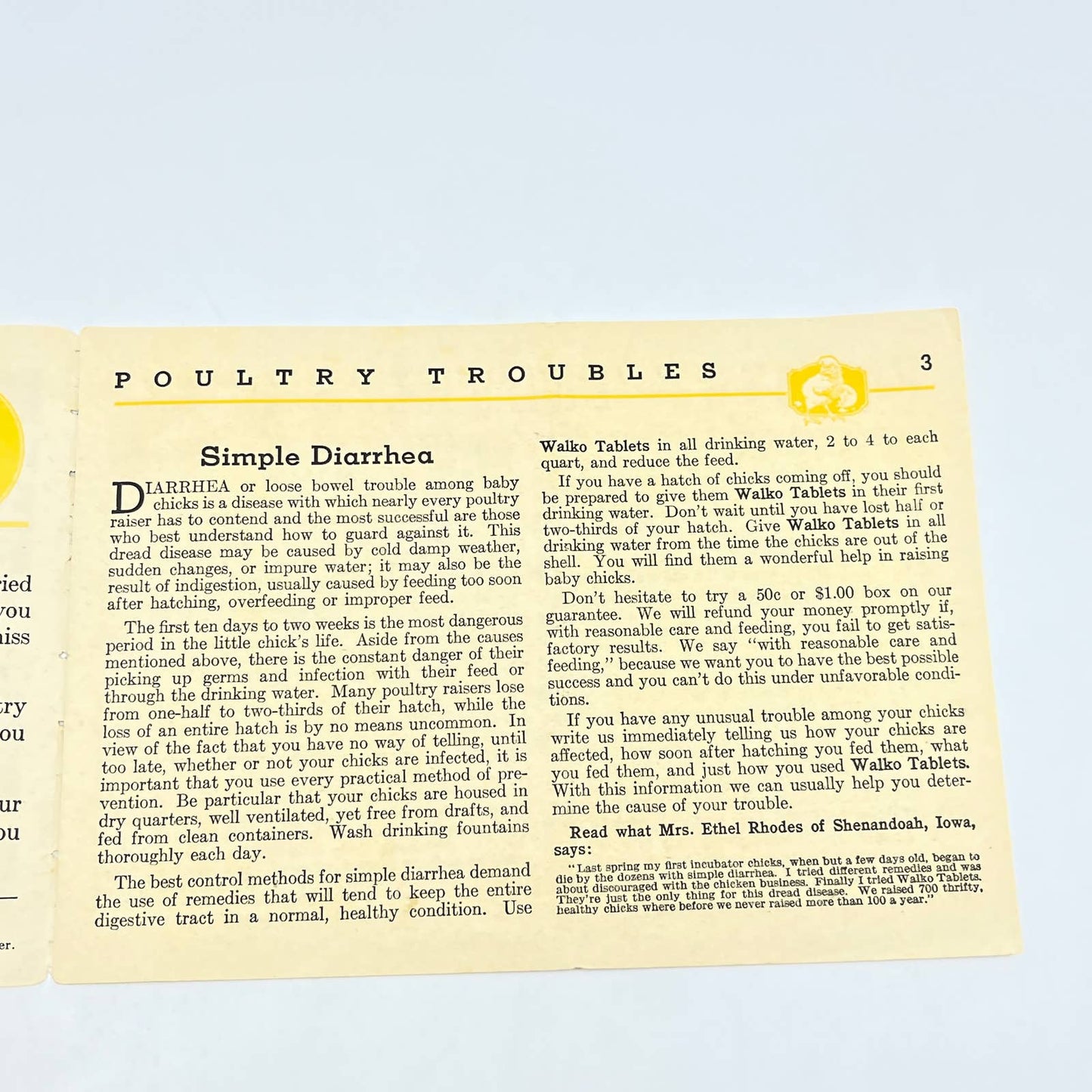 1936 Poultry Troubles A Helpful Treatise on Poultry Disease Walko Booklet AB8