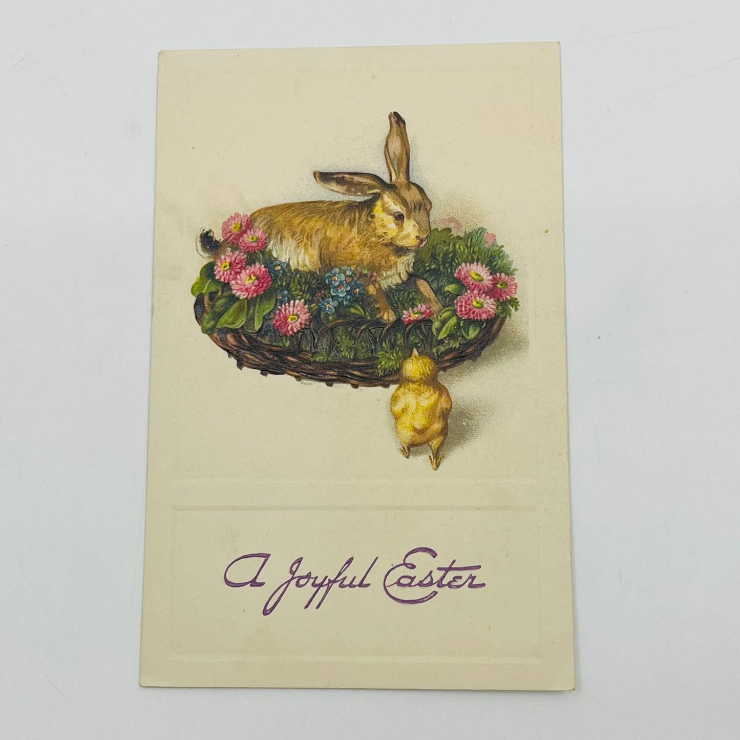 1910s Easter Post Card Winsch Back Bunny in Basket Baby Chick Embossed PA3