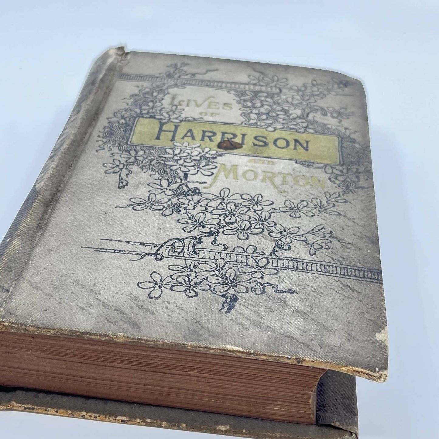 1888 Life of General Ben Harrison & Hon. Levi P. Morton; Wallace-Townsend TE8