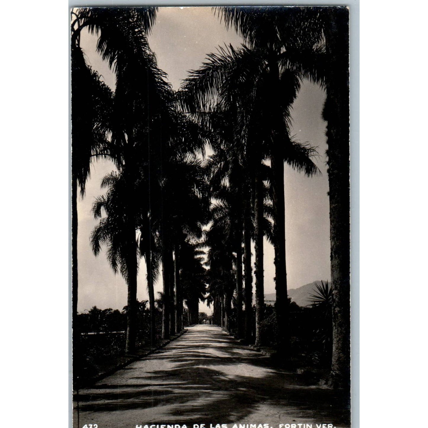 Hacienda De Las Animas Fortín Ver. Mexico - Original RPPC Postcard TJ7-MP