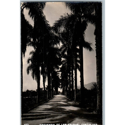 Hacienda De Las Animas Fortín Ver. Mexico - Original RPPC Postcard TJ7-MP