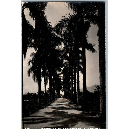 Hacienda De Las Animas Fortín Ver. Mexico - Original RPPC Postcard P3-8