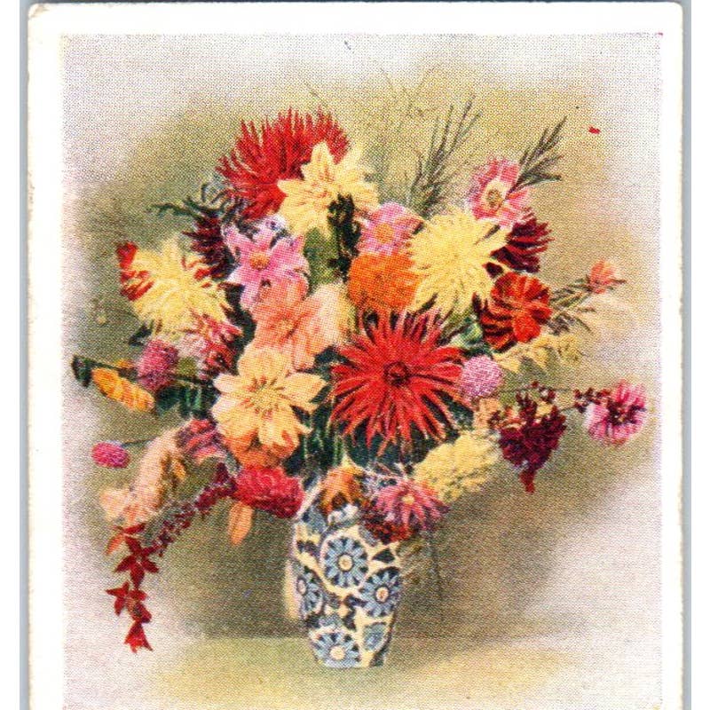 Godfrey Phillips Flower Studies #26 Dahlias Cigarette Card SE5
