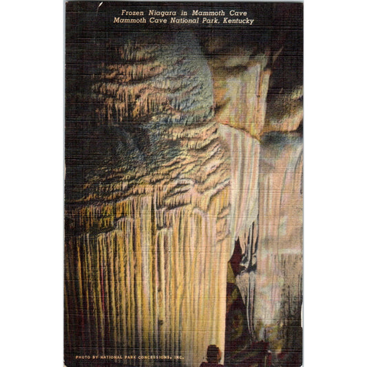 Frozen Niagara Mammoth Cave National Park Kentucky Original Postcard P3-3