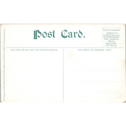 Antique Postcard On Line of L.V.R.R. The Twin Springs Bellewood PA TI1-1