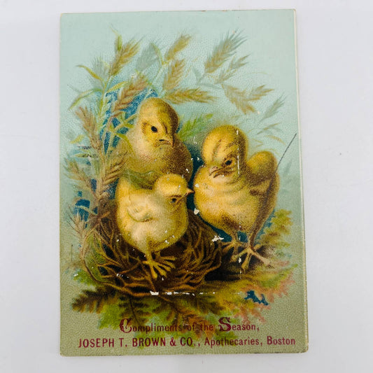 1880s Victorian Trade Card Joseph T. Brown Apothecaries Boston MA Ducklings AA2