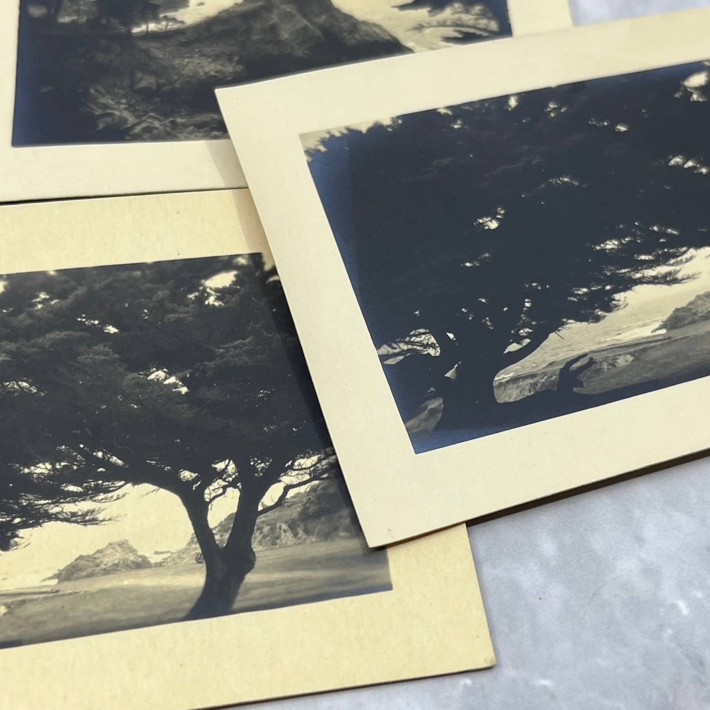 c1925 Collection of Photos of Del Monte Hotel Golf Course Monterey CA TJ9-PG4