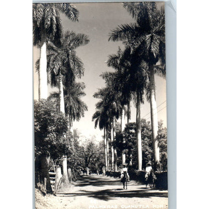 Palmeras Cuautla Mor. Mexico - Original RPPC Postcard TJ7-MP