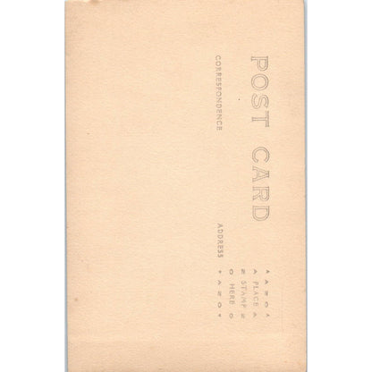 Antique Postcard Wildflowers of Rainier National Park Washington TD9