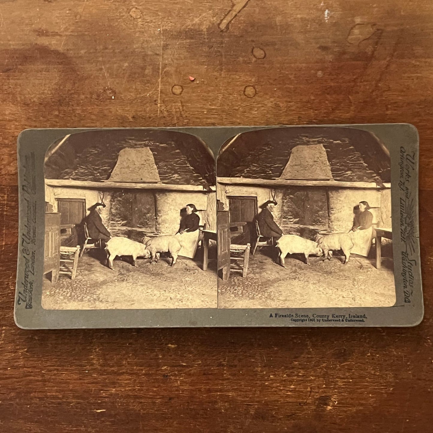 Fireside Scene w/ Pigs County Kerry Ireland 1901 Antique Stereoview Card TJ9-V1