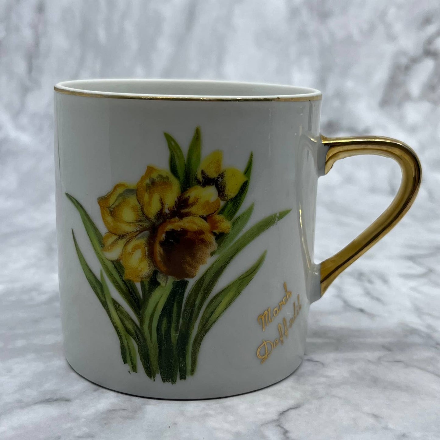 Vintage Fine China Tea Cup Norcrest March Daffodil TD6-3