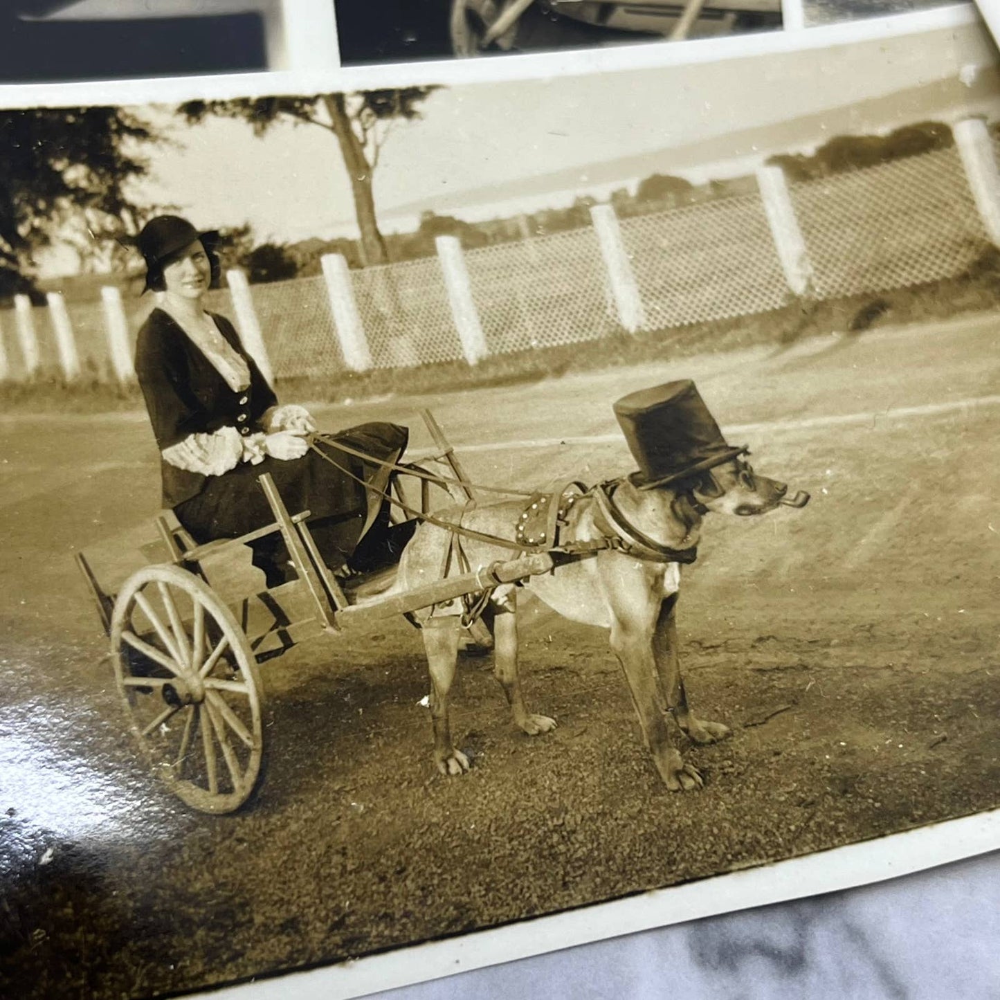 1930s Collection of Photos & Negatives Gaspe French Canada Quebec Trip TJ9-PG5