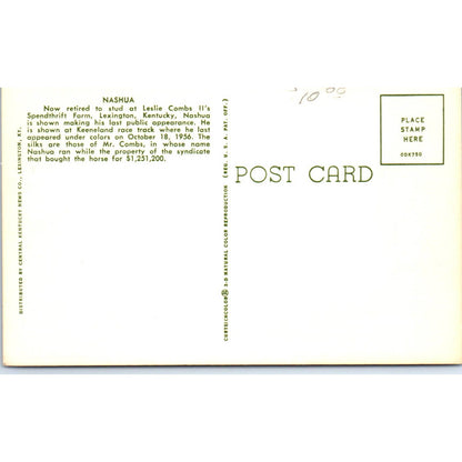 Nashua Spendthrift Farm Lexington KY Horse Racing Original Postcard TK1-23