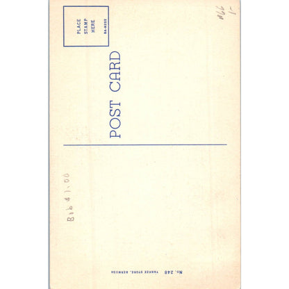 The Cathedral (Church of England) Bermuda Original Postcard TK1-P13