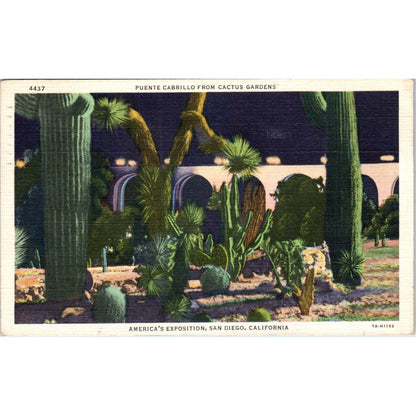 Puente Cabrillo Cactus Garden Americas Exposition San Diego 1936 Postcard TJ9-P1