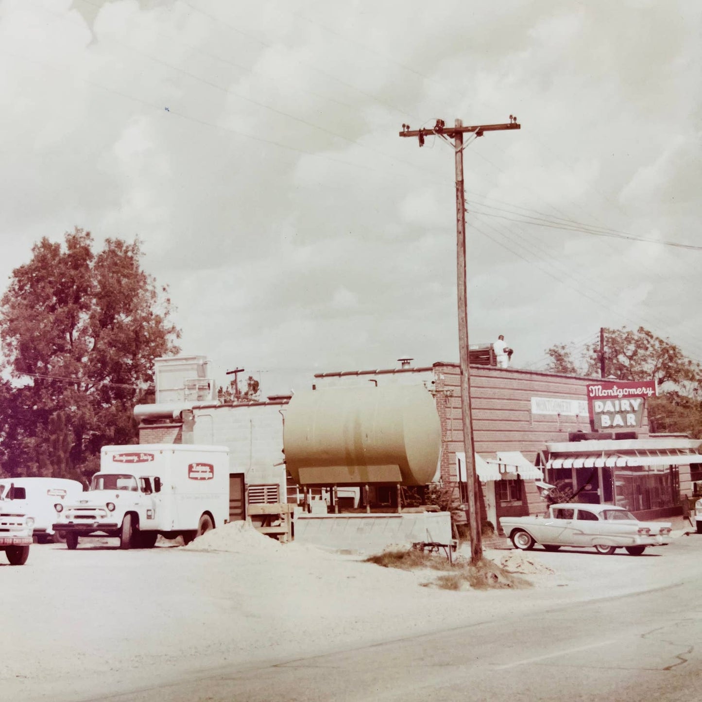 1950s Montgomery Dairy Products Troy, NC Dairy Bar Large Photo Print 16 x 20 FL1