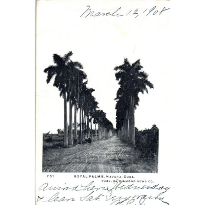 Royal Palms, Havana Cuba 1908 Original Postcard TK1-P13