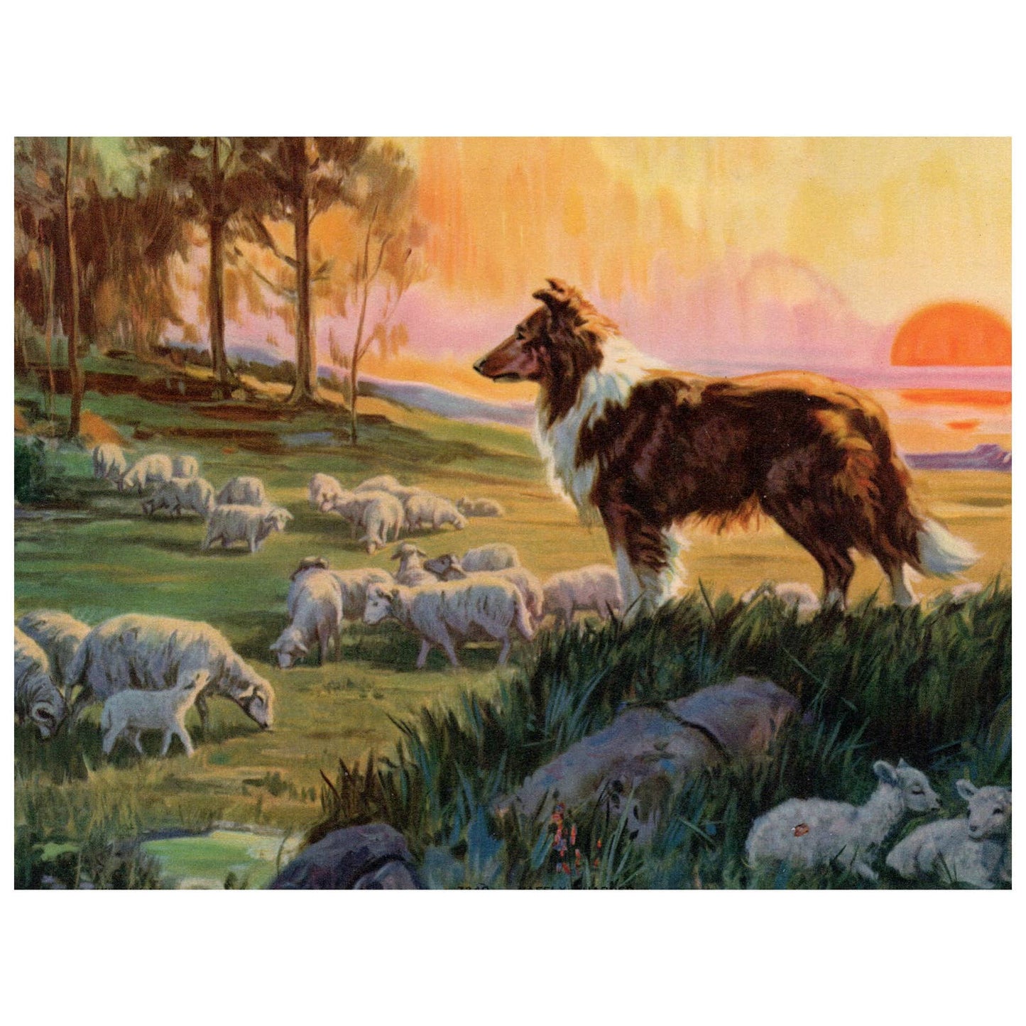 Vintage Original Art Print - Collie Dog Herding Sheep at Sunset ~8x6.5" AD1
