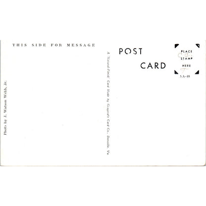 Pack Train Fording Glacier Stream RPPC Alaska Original Postcard TK1-30