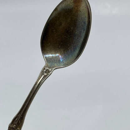 1910 WM Rogers AA Tea Spoon Orange Blossom Pattern 6” SE1