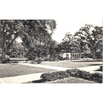 Antique Postcard Campus View from Administration Building Oberlin College TD8-O2