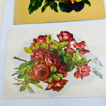 1880s Victorian Lithograph Card Scrap Set of 5 Flowers Roses 6” EA2