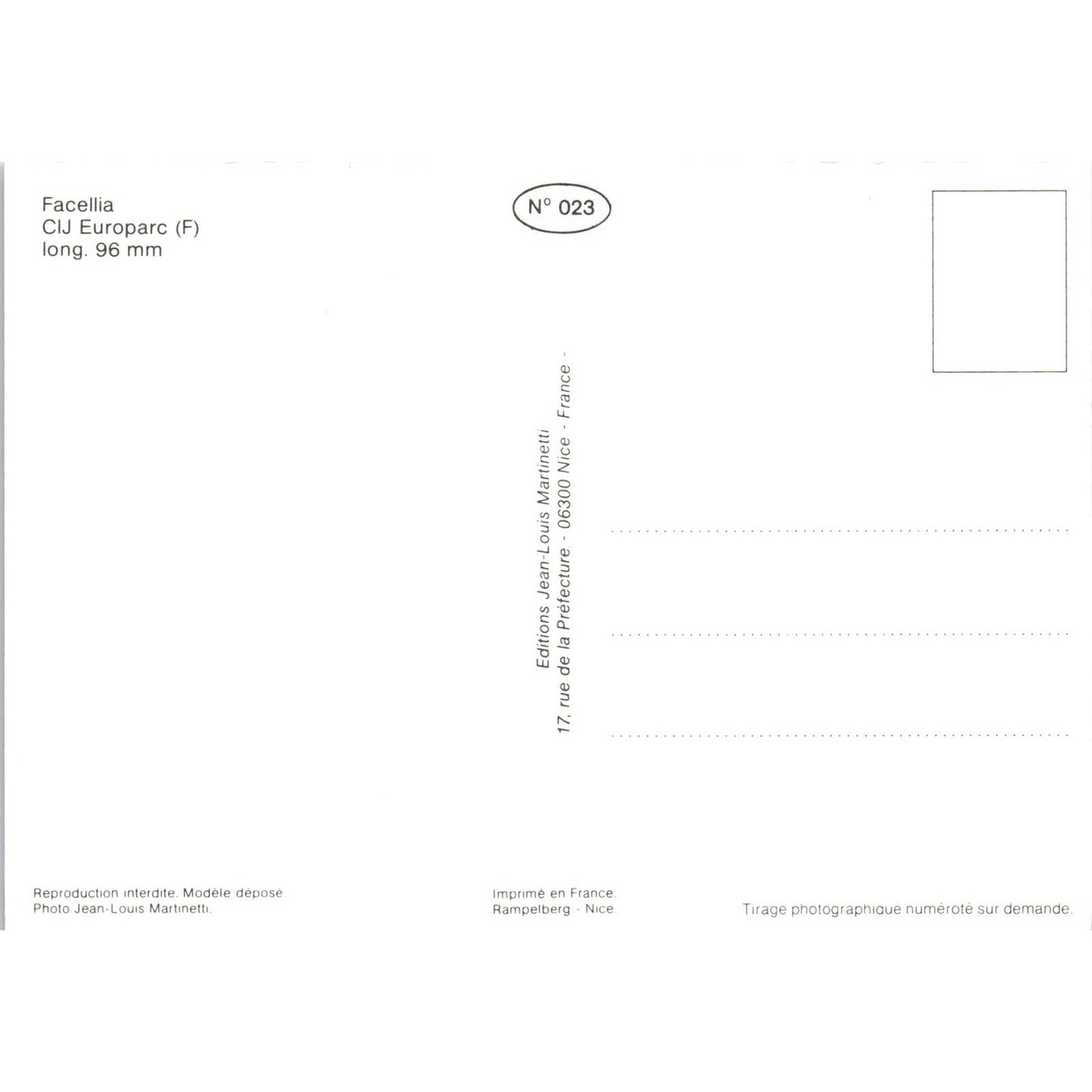 Facellia CIJ Europarc French Toy Race Car Original Postcard TK1-P18