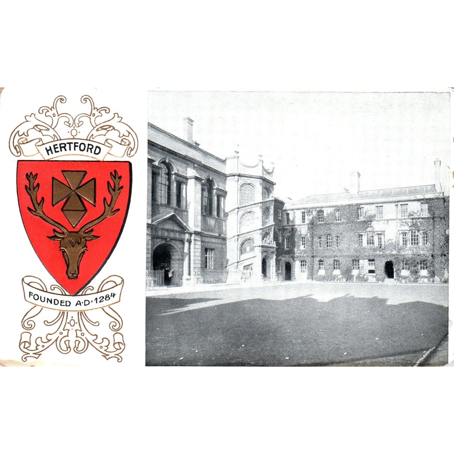 Hertford College Oxford Crest Original Postcard P1-15
