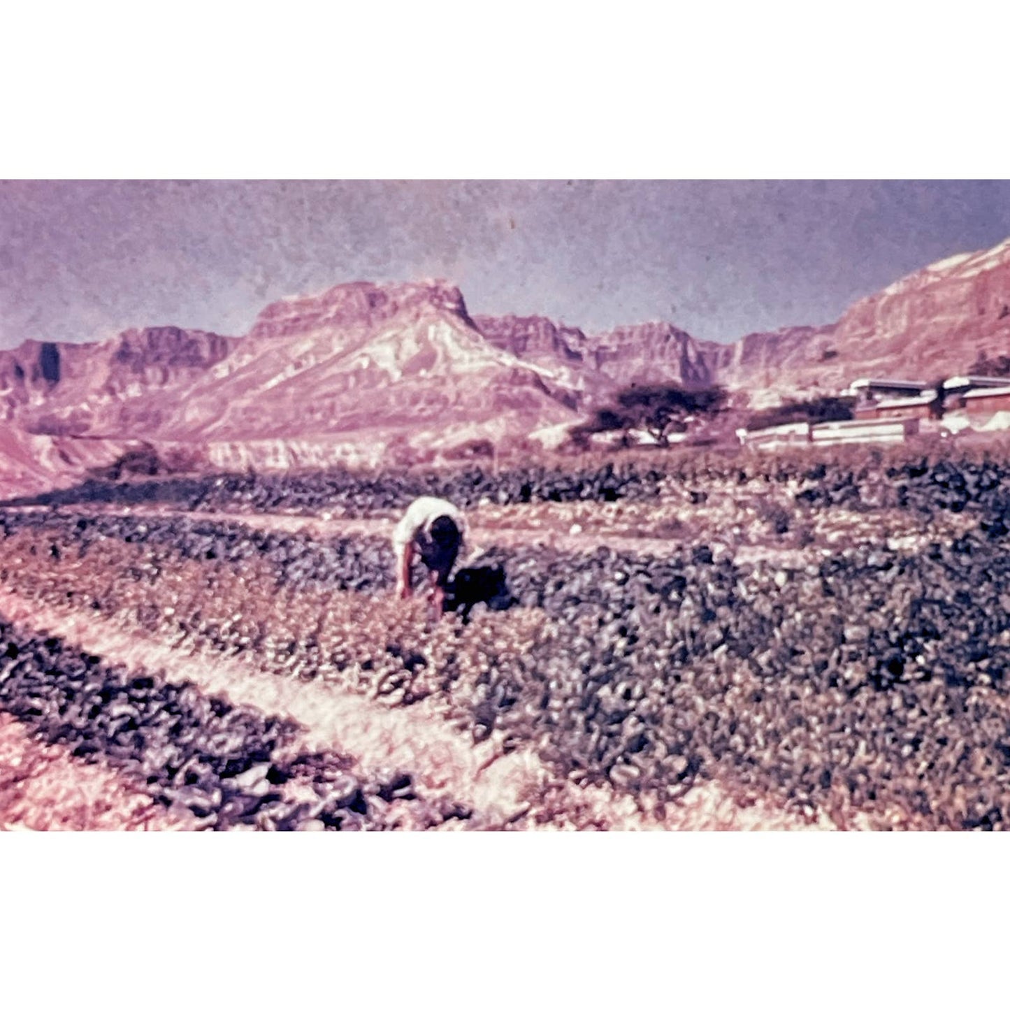1960s Israel Holy Land in Color The Dead Sea Set of 6 2x2 Slides TK2-S2-13
