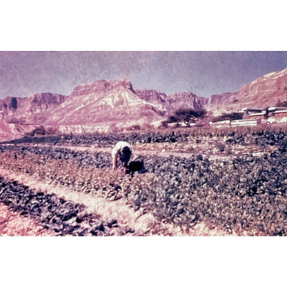 1960s Israel Holy Land in Color The Dead Sea Set of 6 2x2 Slides TK2-S2-13