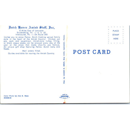 Vintage Postcard Dutch Haven Amish Store Soudersburg PA TD9-P1