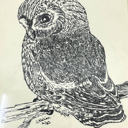 1982 Original Framed Owl Ink Sketch Signed J. Kalien 9x11” TE6
