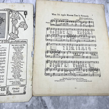 When It's Apple Blossom Time in Normandie Williams 1912 Sheet Music TK2-SM2