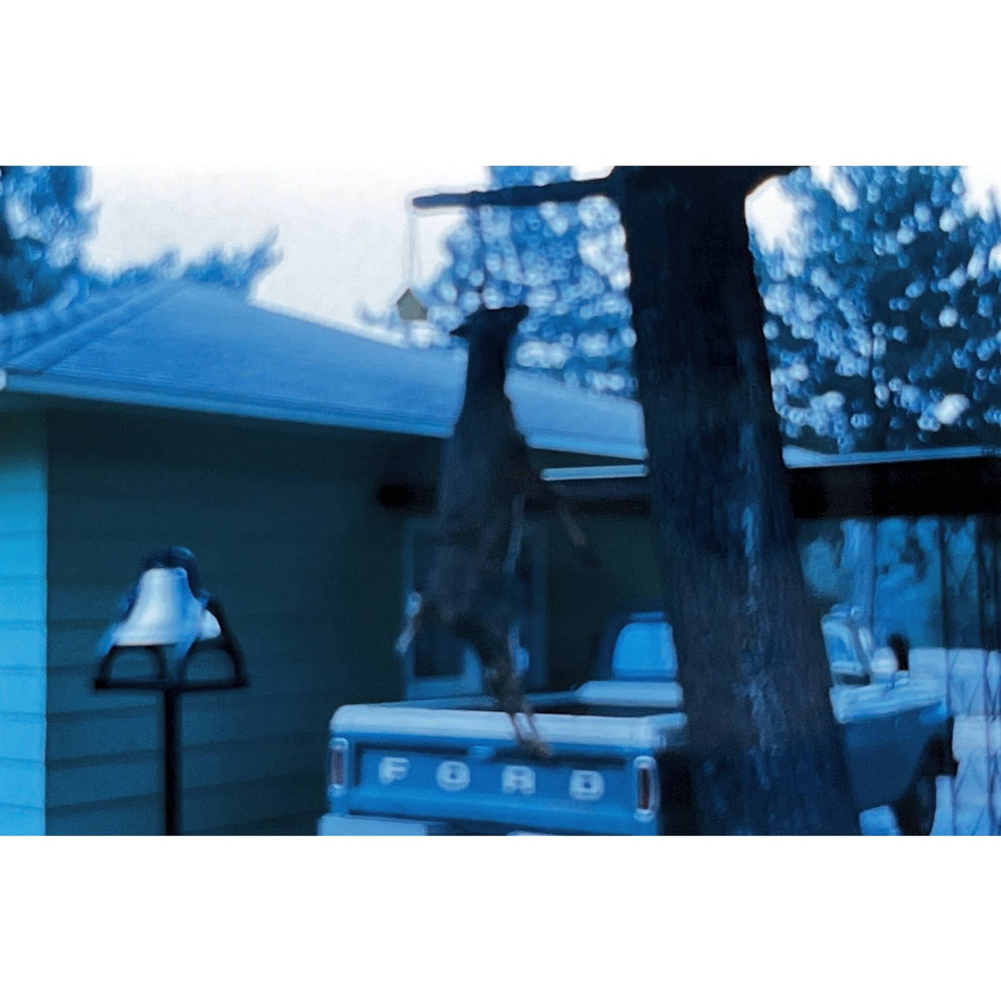 1966 Original Color Slide Deer Hunting Green Ford F150 Set of 9 2x2 TK2-S4-32