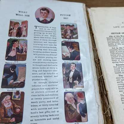 Eugenics The Laws of Sex Life and Heredity By Dr. W.J. Truitt 1916 TH8