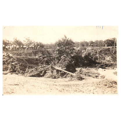 Downed Trees Near White Haven PA 1917 - Original Postcard RPPC TJ8-4
